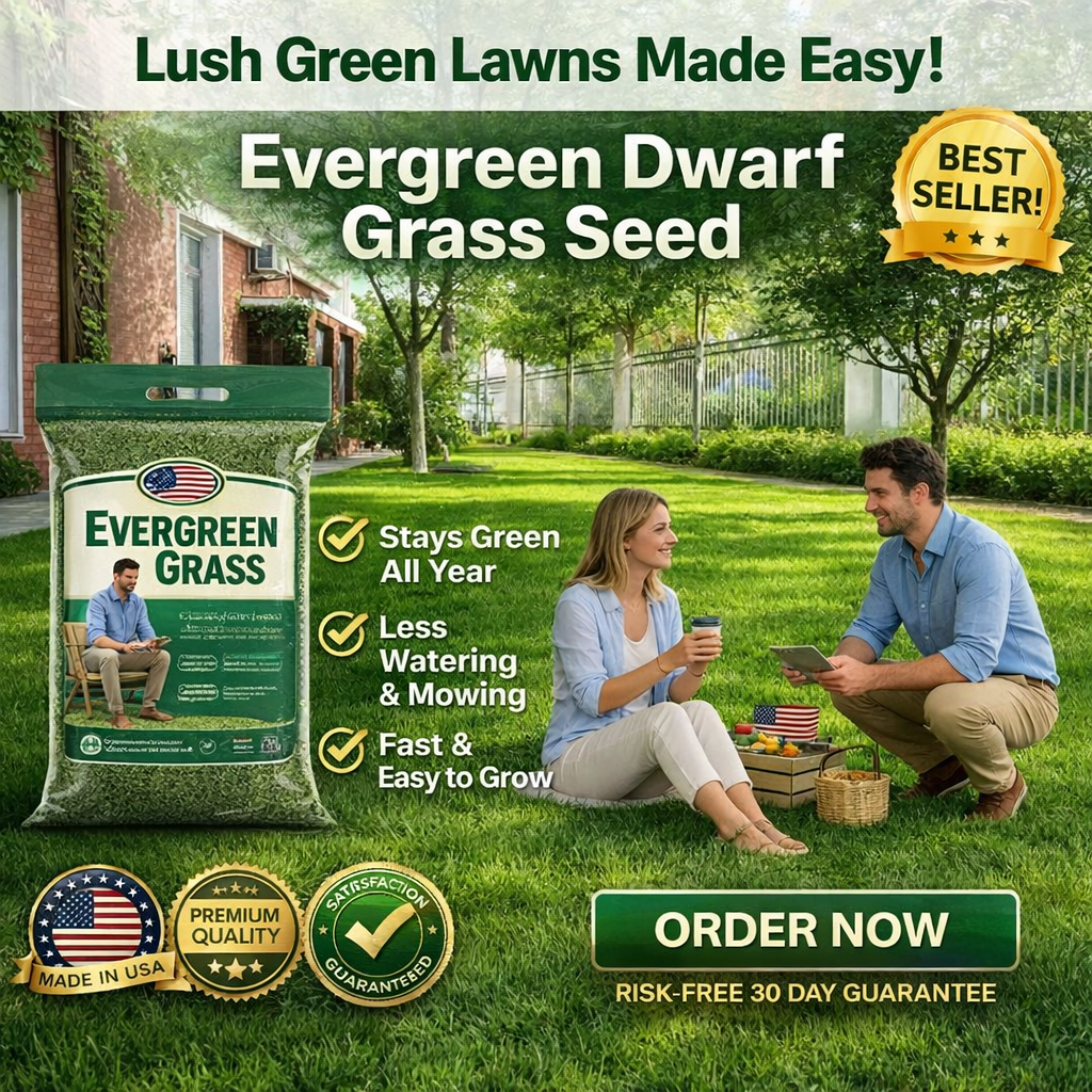 /69ef0c728333d40009cafa95/2026/04/27/product-img-69ef12a6f3feac0736a8983d.png