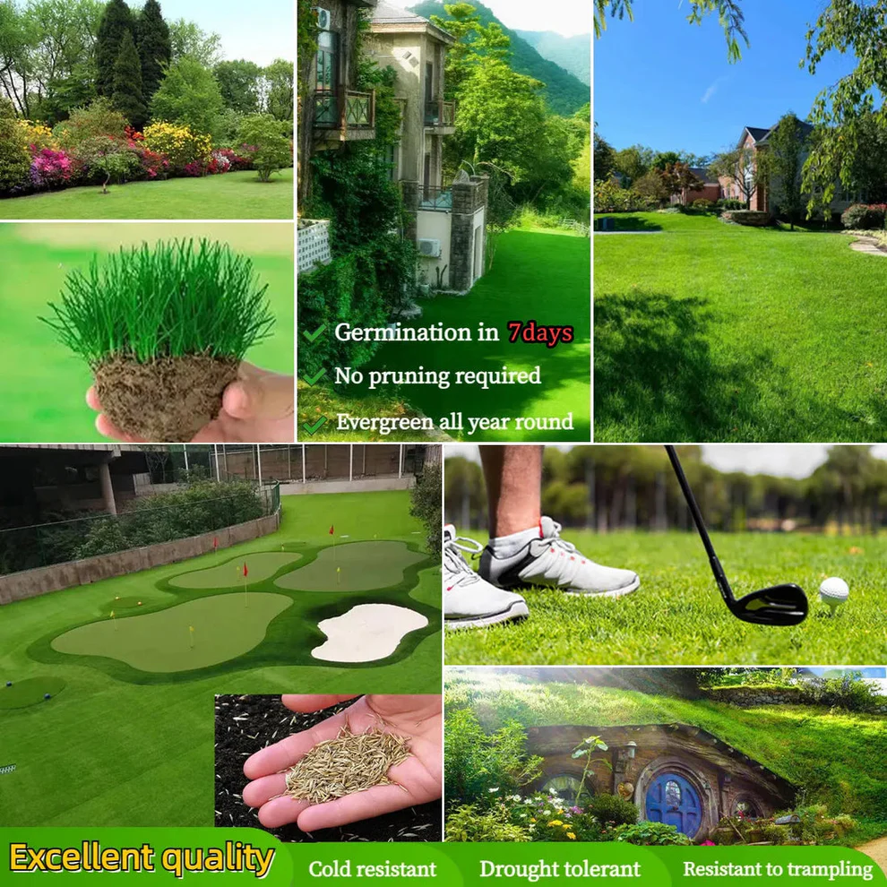 /69ef0c728333d40009cafa95/2026/04/27/product-img-69ef12a6f3feac0736a8983f.png